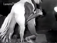 Bestiality Sex Tube - I am getting hooked by large horse